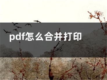 pdf怎么合并打印