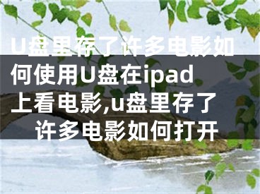 U盤里存了許多電影如何使用U盤在ipad上看電影,u盤里存了許多電影如何打開