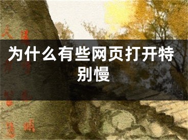 為什么有些網(wǎng)頁打開特別慢