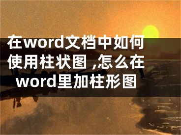 在word文檔中如何使用柱狀圖 ,怎么在word里加柱形圖