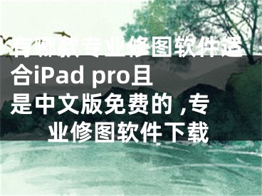 有哪款專業(yè)修圖軟件適合iPad pro且是中文版免費的 ,專業(yè)修圖軟件下載