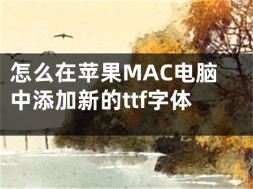 怎么在蘋果MAC電腦中添加新的ttf字體