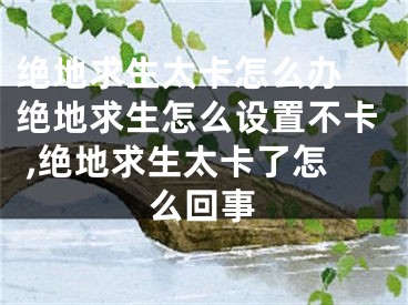 絕地求生太卡怎么辦 絕地求生怎么設(shè)置不卡 ,絕地求生太卡了怎么回事