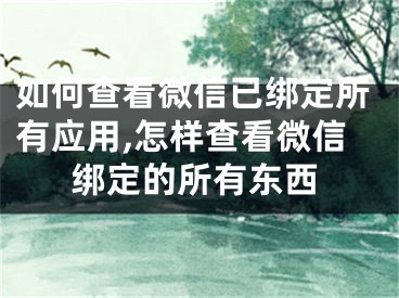 如何查看微信已綁定所有應(yīng)用,怎樣查看微信綁定的所有東西