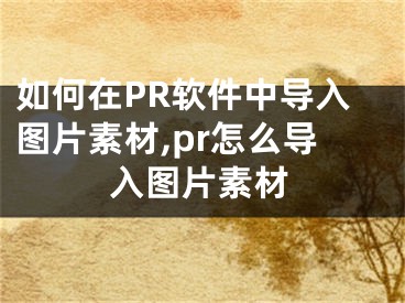 如何在PR軟件中導入圖片素材,pr怎么導入圖片素材