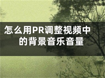 怎么用PR調(diào)整視頻中的背景音樂(lè)音量