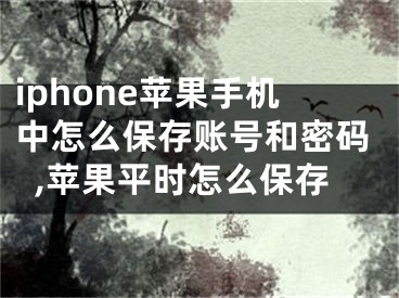 iphone蘋果手機中怎么保存賬號和密碼,蘋果平時怎么保存