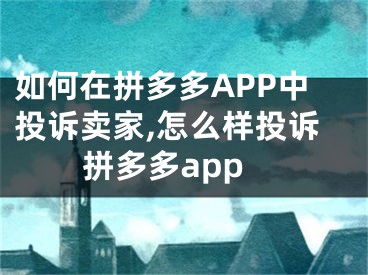 如何在拼多多APP中投訴賣家,怎么樣投訴拼多多app