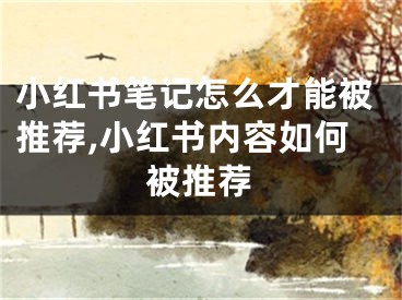 小紅書筆記怎么才能被推薦,小紅書內容如何被推薦