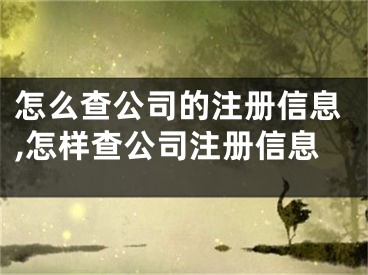 怎么查公司的注冊信息,怎樣查公司注冊信息