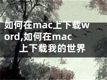 如何在mac上下載word,如何在mac上下載我的世界