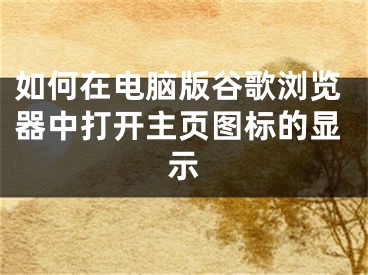 如何在電腦版谷歌瀏覽器中打開主頁圖標(biāo)的顯示