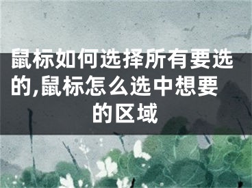 鼠標如何選擇所有要選的,鼠標怎么選中想要的區(qū)域