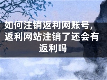 如何注銷返利網(wǎng)賬號,返利網(wǎng)站注銷了還會有返利嗎