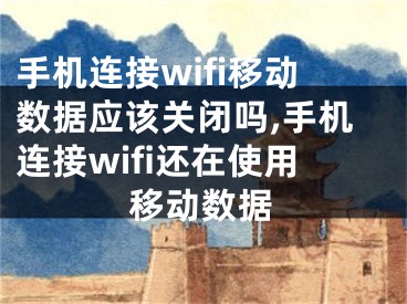 手機(jī)連接wifi移動數(shù)據(jù)應(yīng)該關(guān)閉嗎,手機(jī)連接wifi還在使用移動數(shù)據(jù)