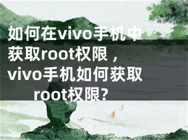 如何在vivo手機中獲取root權(quán)限 ,vivo手機如何獲取root權(quán)限?