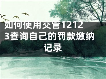 如何使用交管12123查詢自己的罰款繳納記錄