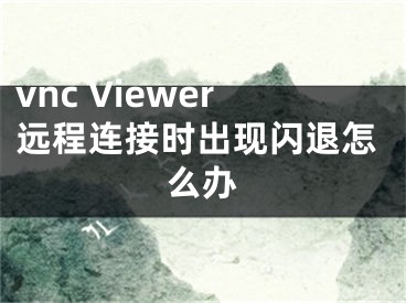 vnc Viewer遠(yuǎn)程連接時(shí)出現(xiàn)閃退怎么辦