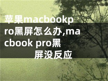 蘋(píng)果macbookpro黑屏怎么辦,macbook pro黑屏沒(méi)反應(yīng)