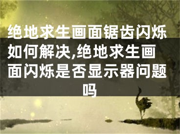 絕地求生畫面鋸齒閃爍如何解決,絕地求生畫面閃爍是否顯示器問題嗎