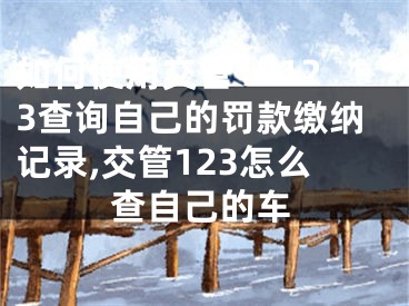 如何使用交管12123查詢自己的罰款繳納記錄,交管123怎么查自己的車