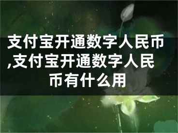 支付寶開通數(shù)字人民幣,支付寶開通數(shù)字人民幣有什么用