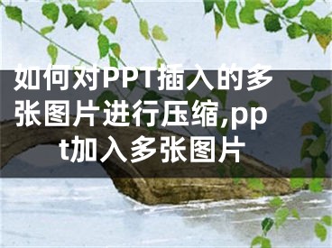 如何對PPT插入的多張圖片進(jìn)行壓縮,ppt加入多張圖片