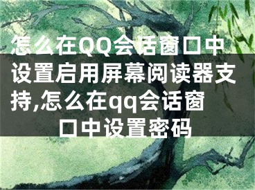 怎么在QQ會(huì)話窗口中設(shè)置啟用屏幕閱讀器支持,怎么在qq會(huì)話窗口中設(shè)置密碼