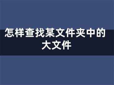 怎樣查找某文件夾中的大文件