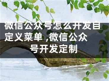 微信公眾號怎么開發(fā)自定義菜單 ,微信公眾號開發(fā)定制