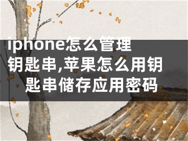 iphone怎么管理鑰匙串,蘋果怎么用鑰匙串儲存應(yīng)用密碼