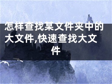 怎樣查找某文件夾中的大文件,快速查找大文件