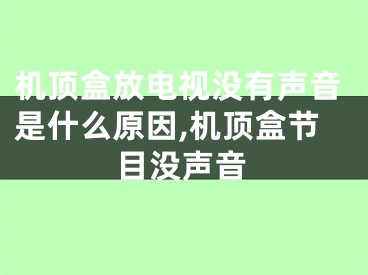 機(jī)頂盒放電視沒有聲音是什么原因,機(jī)頂盒節(jié)目沒聲音