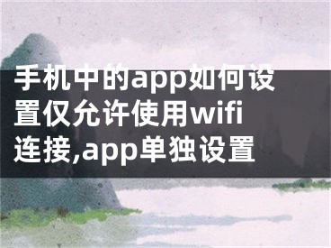 手機(jī)中的app如何設(shè)置僅允許使用wifi連接,app單獨(dú)設(shè)置