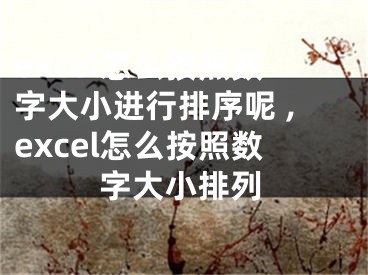 excel怎么按照數(shù)字大小進行排序呢 ,excel怎么按照數(shù)字大小排列