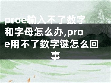 proe輸入不了數(shù)字和字母怎么辦,proe用不了數(shù)字鍵怎么回事