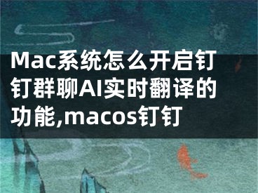 Mac系統(tǒng)怎么開啟釘釘群聊AI實時翻譯的功能,macos釘釘