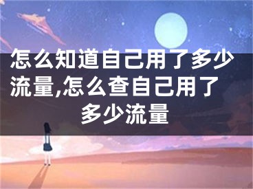 怎么知道自己用了多少流量,怎么查自己用了多少流量