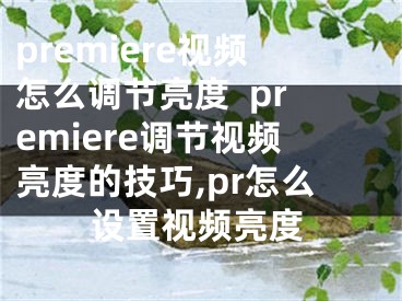 premiere視頻怎么調節(jié)亮度  premiere調節(jié)視頻亮度的技巧,pr怎么設置視頻亮度