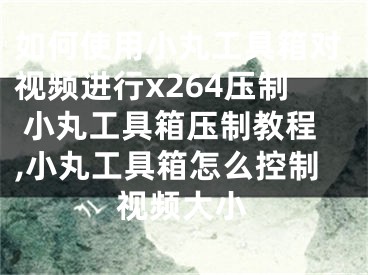 如何使用小丸工具箱對視頻進行x264壓制 小丸工具箱壓制教程,小丸工具箱怎么控制視頻大小