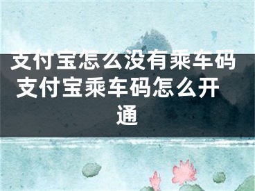 支付寶怎么沒有乘車碼 支付寶乘車碼怎么開通