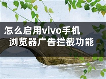 怎么啟用vivo手機瀏覽器廣告攔截功能