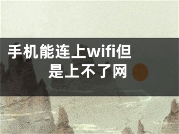 手機(jī)能連上wifi但是上不了網(wǎng)