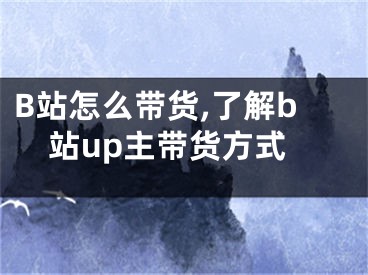 B站怎么帶貨,了解b站up主帶貨方式