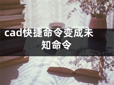 cad快捷命令變成未知命令