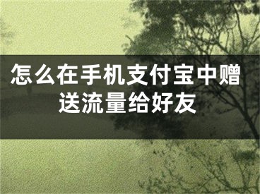 怎么在手機(jī)支付寶中贈(zèng)送流量給好友