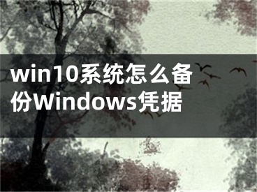 win10系統(tǒng)怎么備份Windows憑據(jù)