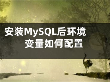 安裝MySQL后環(huán)境變量如何配置