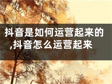 抖音是如何運(yùn)營(yíng)起來(lái)的,抖音怎么運(yùn)營(yíng)起來(lái)