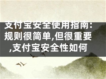 支付寶安全使用指南:規(guī)則很簡(jiǎn)單,但很重要,支付寶安全性如何